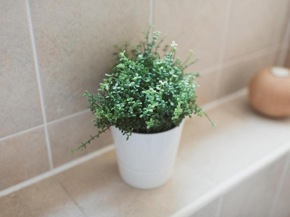 Pass The Keys Lovely 2-Bed Flat Glasgow Harbour Free Parking Eksteriør billede